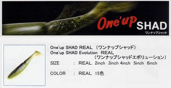 ڵѥۥ顡ʥåץåɡꥢ롡One'up SHADREAL