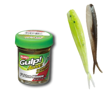 ����ס����饤�֡����ߥΡ���1�������Gulp! ALIVE! Minnow 1inch