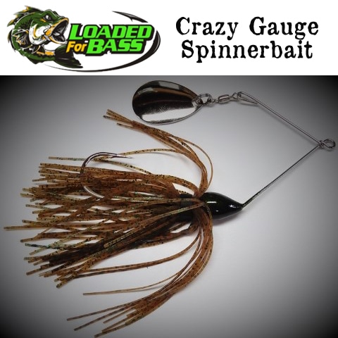 LOADED for BASS Crazy Gauge쥤ԥʡ٥