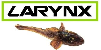 AREA51FISHING��LARYNX�����󥯥���3�����