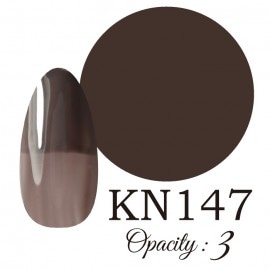 LUCIA ��KN147�� ����������� �񻺥��顼������