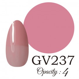 LUCIA GV237  񻺥顼