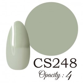 LUCIA ��CS248�� ����������� �񻺥��顼������