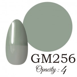 LUCIA ��GM256�� ����������� �񻺥��顼������