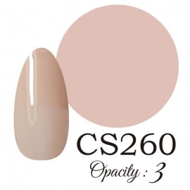 LUCIA CS260  񻺥顼