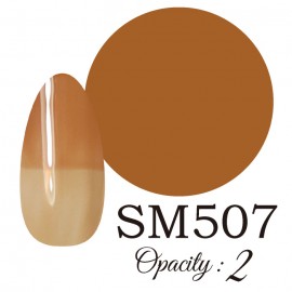 LUCIA ��SM507�� ����������� �񻺥��顼������