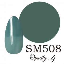 LUCIA ��SM508�� ����������� �񻺥��顼������