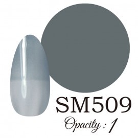 LUCIA ��SM509�� ����������� �񻺥��顼������