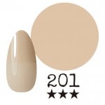 ���ߡ�����201�� �񻺥��顼������