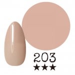 ���ߡ�����203�� �񻺥��顼������