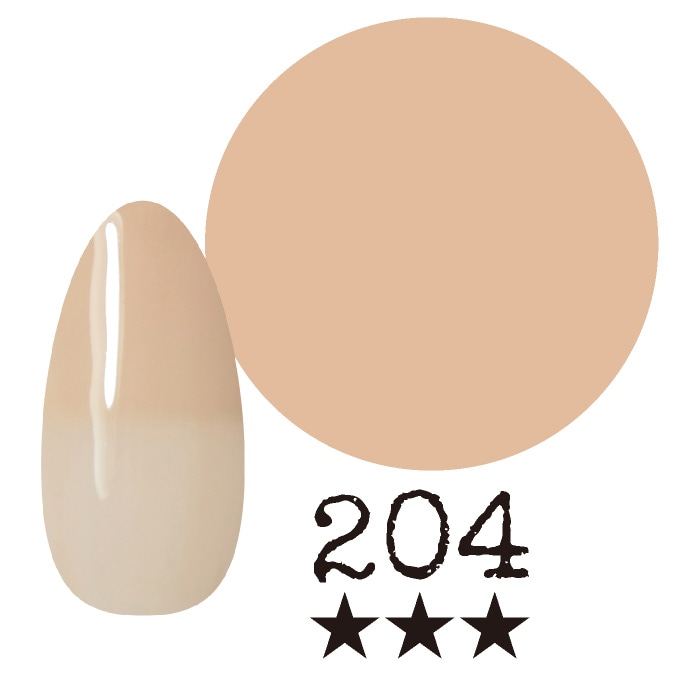 ���ߡ�����204�� �񻺥��顼������