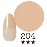 ���ߡ�����204�� �񻺥��顼������