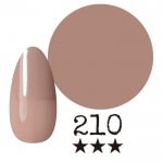 ���ߡ�����210�� �񻺥��顼������