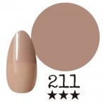 ���ߡ�����211�� �񻺥��顼������