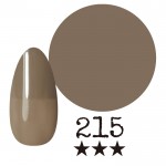 ���ߡ�����215�� �񻺥��顼������