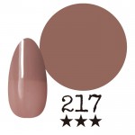 ���ߡ�����217�� �񻺥��顼������