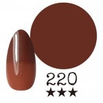 ���ߡ�����220�� �񻺥��顼������