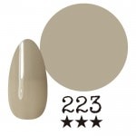 ���ߡ�����223�� �񻺥��顼������