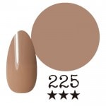 ���ߡ�����225�� �񻺥��顼������