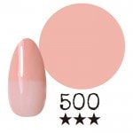 ���ߡ�����500�� �񻺥��顼������