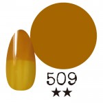 ���ߡ�����509�� �񻺥��顼������