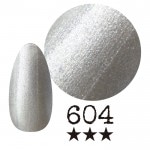 ���ߡ�����604�� �񻺥��顼������