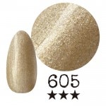 ���ߡ�����605�� �񻺥��顼������