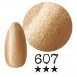 ���ߡ�����607�� �񻺥��顼������