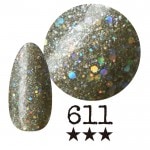 ���ߡ�����611�� �񻺥��顼������