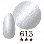 ���ߡ�����613�� �񻺥��顼������