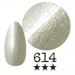 ���ߡ�����614�� �񻺥��顼������