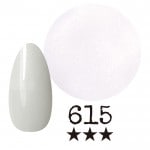 ���ߡ�����615�� �񻺥��顼������