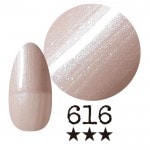 ���ߡ�����616�� �񻺥��顼������