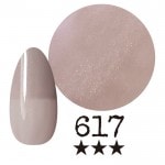 ���ߡ�����617�� �񻺥��顼������