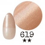 ���ߡ�����619�� �񻺥��顼������