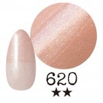 ���ߡ�����620�� �񻺥��顼������