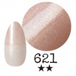 ���ߡ�����621�� �񻺥��顼������