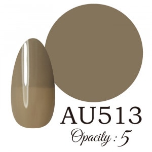 LUCIA ��AU513�ʢ�����ˡ� ����������� �񻺥��顼������