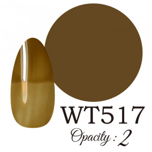 LUCIA ��WT517�� ����������� �񻺥��顼������