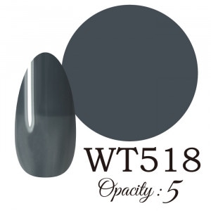 LUCIA ��WT518�� ����������� �񻺥��顼������