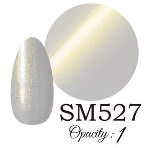 LUCIA ��SM527�� ����������� �񻺥��顼������