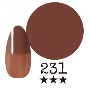 ���ߡ�����231�� �񻺥��顼������