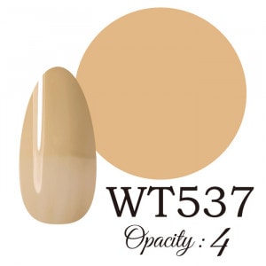 LUCIA WT537  񻺥顼