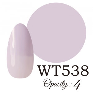 LUCIA ��WT538�� ����������� �񻺥��顼������