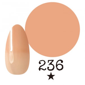 ���ߡ�����236�� �񻺥��顼������