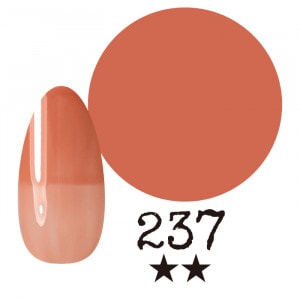 ���ߡ�����237�� �񻺥��顼������