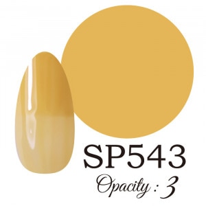 LUCIA SP543  񻺥顼
