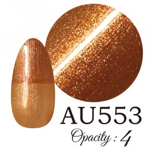 LUCIA ��AU553�� ����������� �񻺥��顼������