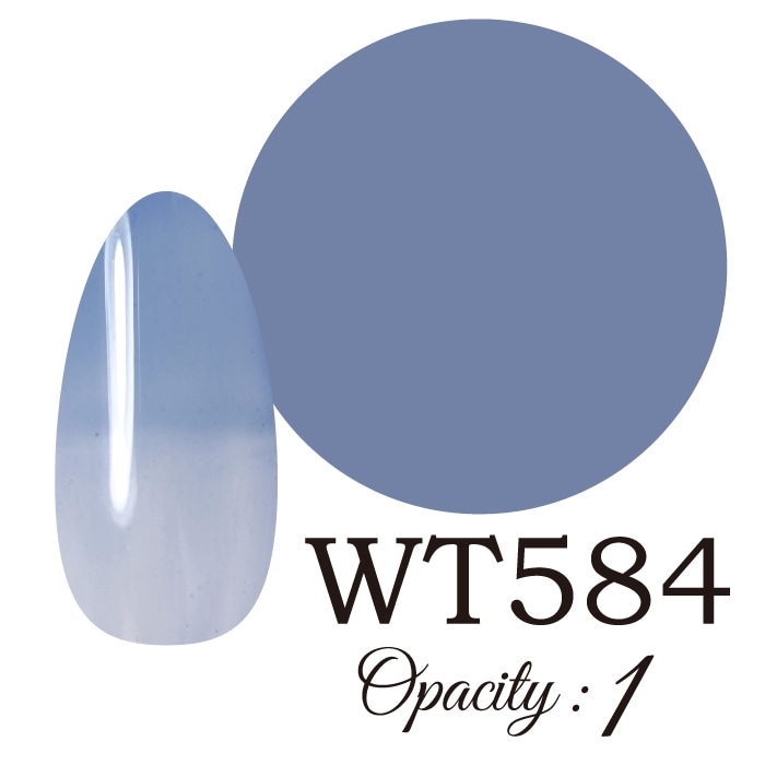 LUCIA ��WT584�� ����������� �񻺥��顼������