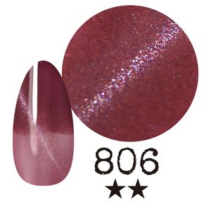 ߡ ޥͥåȡ806 񻺥顼